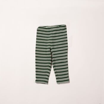 Legging Vintage Green Stripes Forever Rib 1