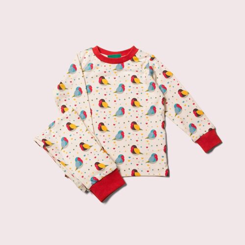 Rainbow Robins Pyjamas