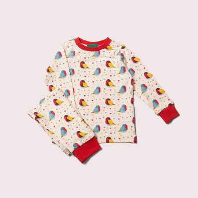 Rainbow Robins-Pyjama