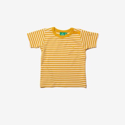 Gold Stripe T-Shirt