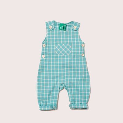 Peto Blue Sky Check Explorer