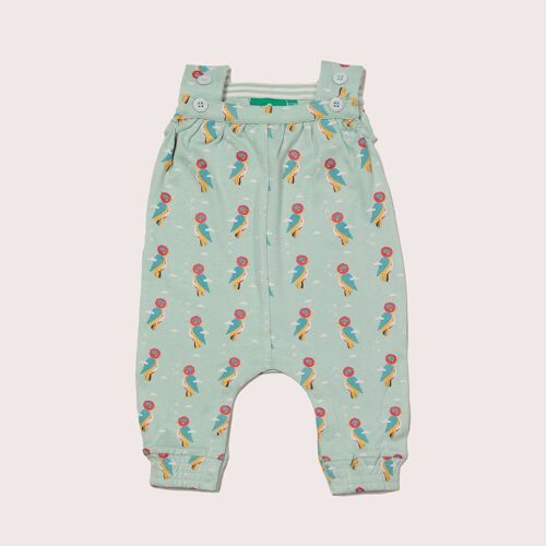 Little Woodpecker Playdays Dungarees