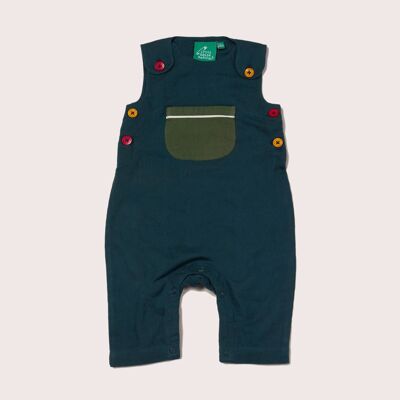 Storm Blue Day After Day Adventure Dungarees