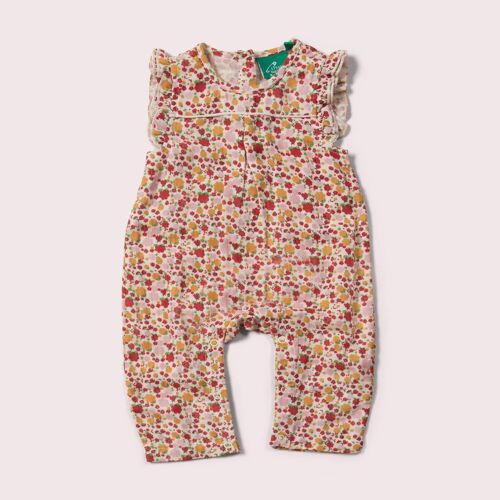 Ladybird Days Organic Summer Romper