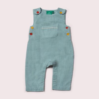 Sky Blue Day After Day Adventure Dungarees