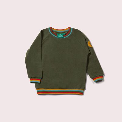 Grün meliertes Raglan-Regenbogen-Sweatshirt