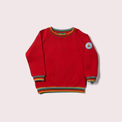 Rot meliertes Raglan-Regenbogen-Sweatshirt