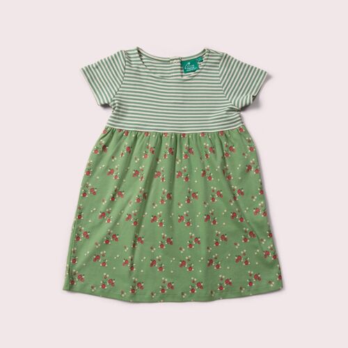 Grow Your Own Easy Peasy Dress Set