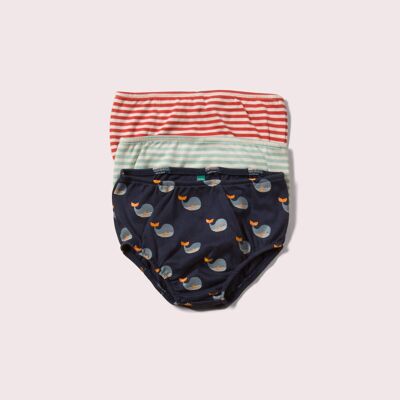 Whale Song Organic Underwear Set - 3 Pack