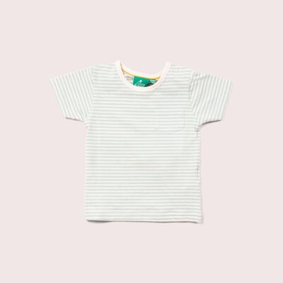 Blue Striped Organic Short Sleeve T-Shirt