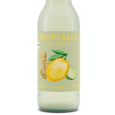 Promenade - 30 Flaschen Bio Limonade / Zitrone-Limette-Ingwer