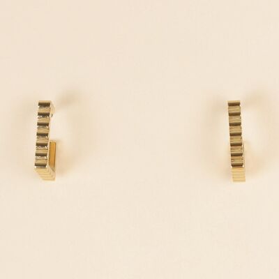 Golden rectangle earrings