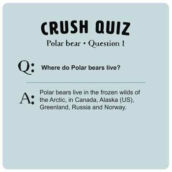 Les cartes de quiz de la série Crush 9