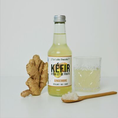 Kéfir de frutas de jengibre orgánico 25cl x8