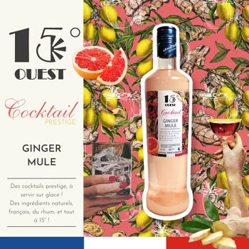 15°Ouest Cocktail Prestige - Ginger Mule 70cl 2