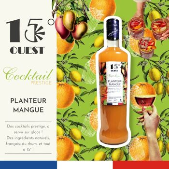 15°Ouest Cocktail Prestige - Planteur Mangue 70cl 2