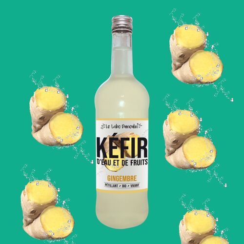 Kéfir de fruits Gingembre bio 75cl x6