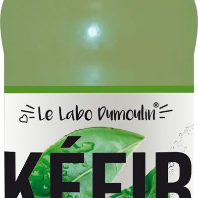 Fruit Kefir Organic Green Tea 75cl x6