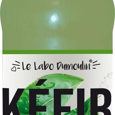 Kéfir de fruits Thé Vert bio 75cl x6