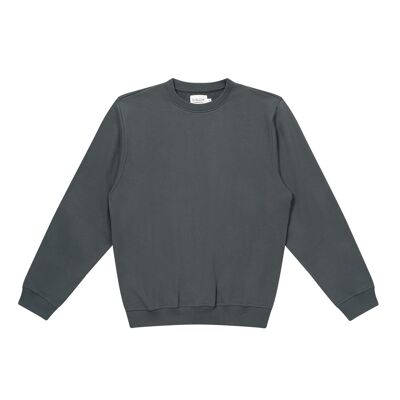 Sweatshirt Plain Gris