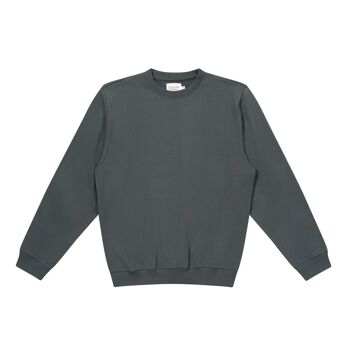 Sweatshirt Plain Gris 1