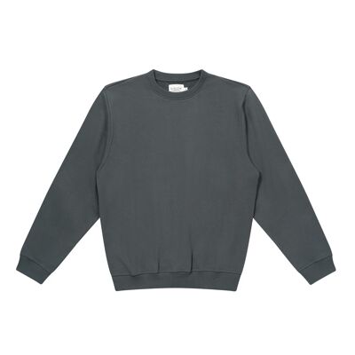 Sweatshirt Plain Gray