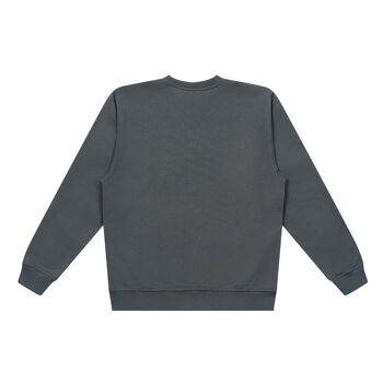 Sweatshirt Plain Gris 2