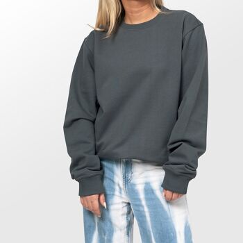Sweatshirt Plain Gris 3