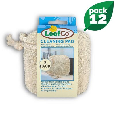 Cleaning Pad 2-Pack | BULK Box of 12 | 5% Discount
