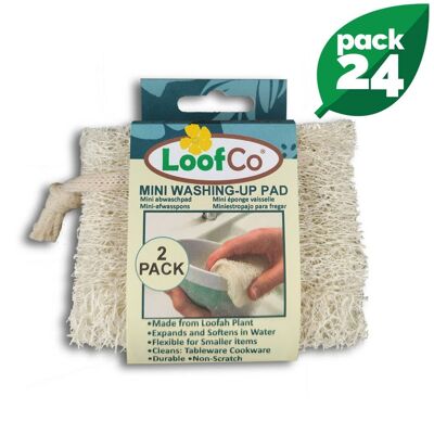 Mini-Spülpad 2er-Pack | BULK-Box mit 24 | 5% Rabatt