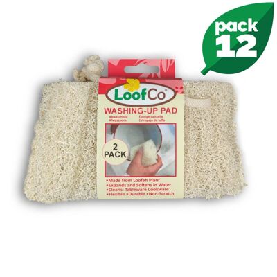 Confezione da 2 panni per lavare i piatti | BULK Scatola da 12 | Sconto del 5%.