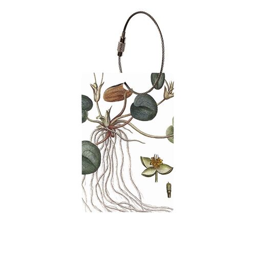 Luggage tag - The Flora Danica Atlas - Frogbit