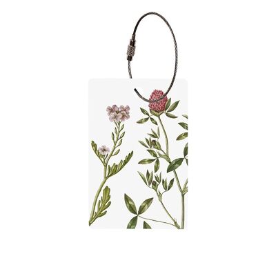 Etichetta bagaglio - The Flora Danica Atlas - Rucola europea e trifoglio rosso