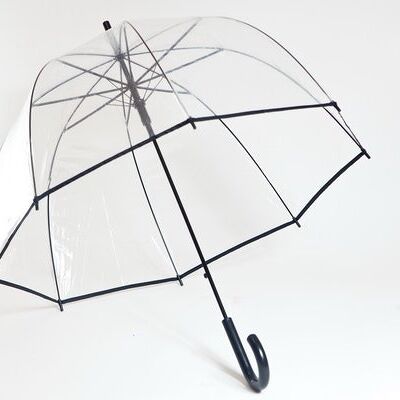 Basic Transparenter Regenschirm Schwarz