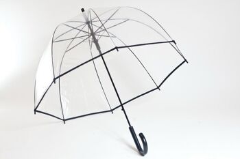 Parapluie Basic Transparent Noir 1