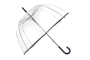 Parapluie Basic Transparent Noir 2