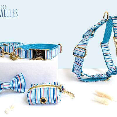 Sky Blue Striped Cotton Dog Complete Kit