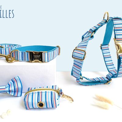 Sky Blue Striped Cotton Dog Complete Kit