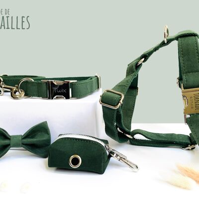 Kit Perro Completo Algodón Verde Abeto