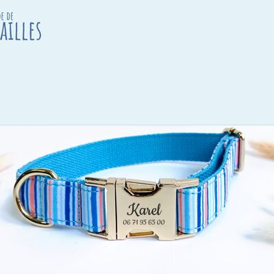 Himmelblau gestreiftes Hundehalsband aus Nylon