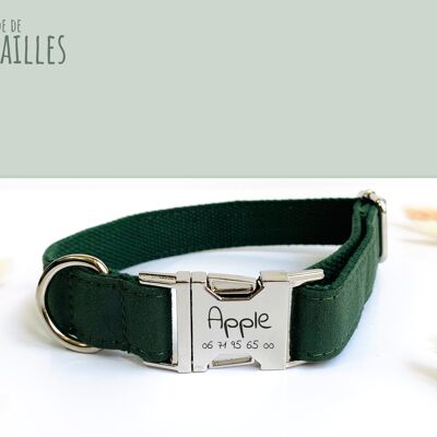 Collare per cani in cotone verde abete