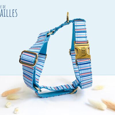 Sky Blue Striped Nylon Dog Harness