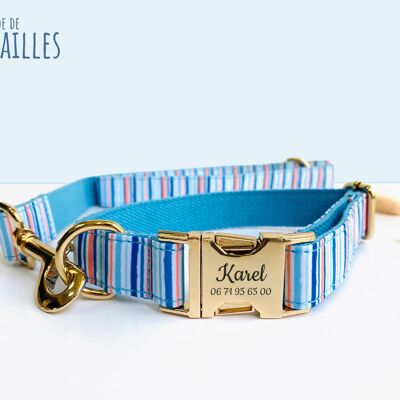 Sky Blue Striped Nylon Dog Leash