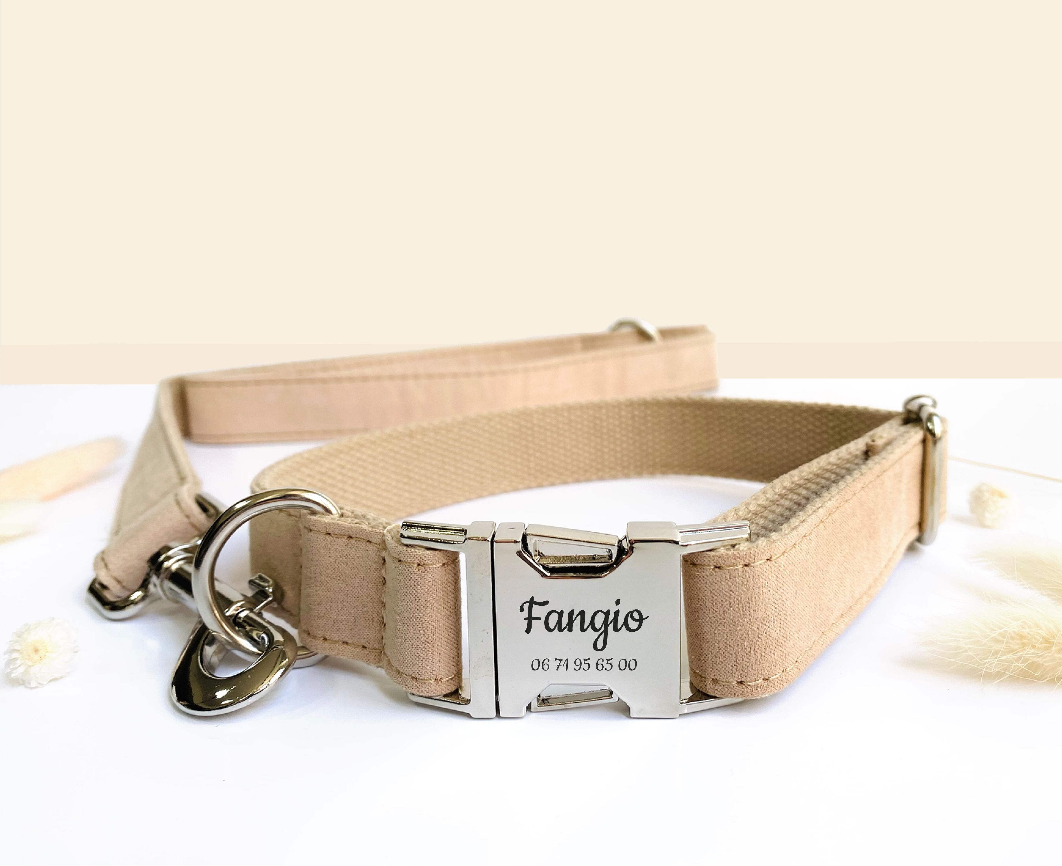 Laisse Chien Coton Beige