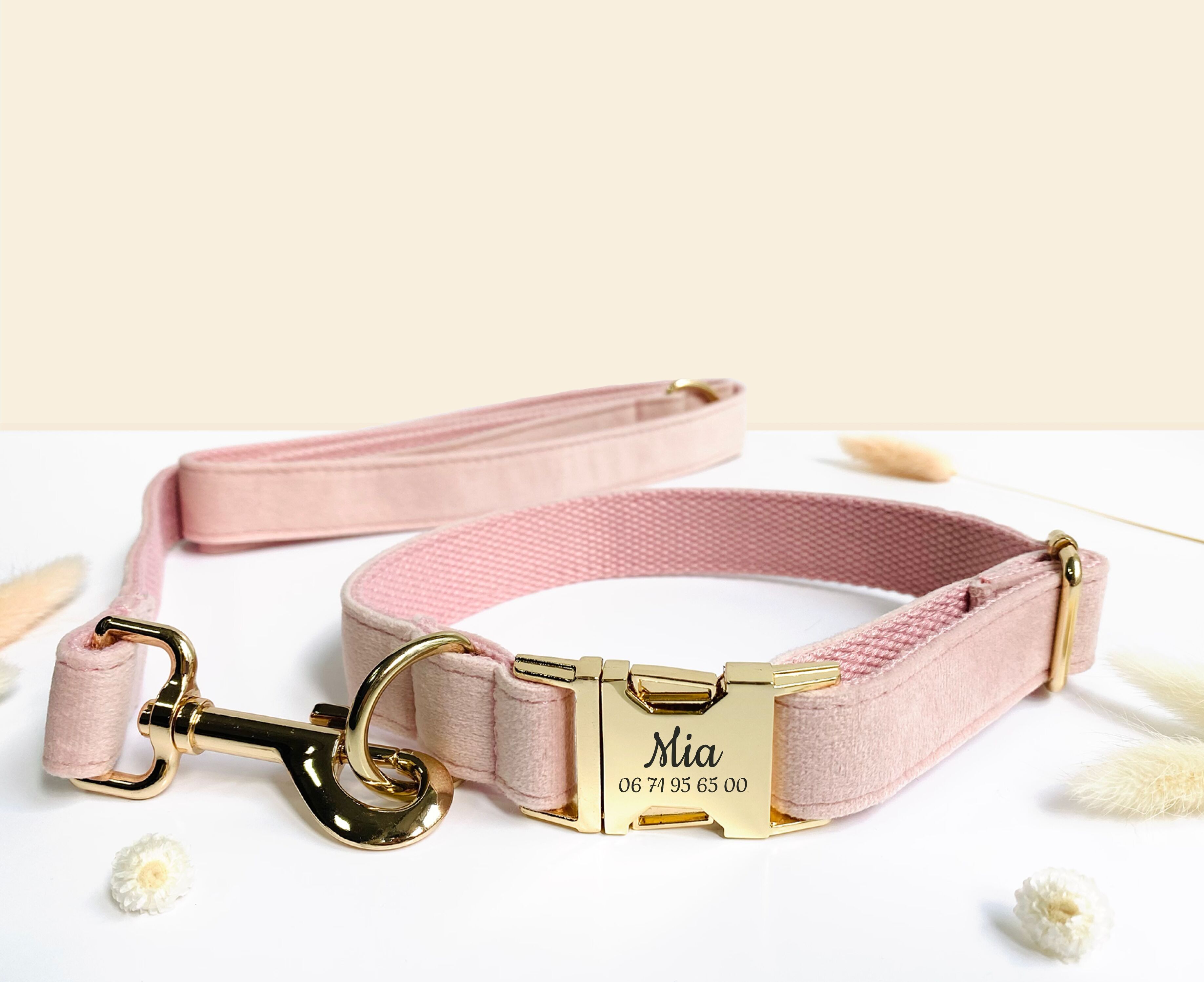 Laisse Chien Velours Lisse Rose