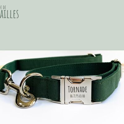 Fir Green Cotton Dog Leash