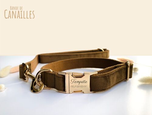 Laisse pour Chien Velours Marron