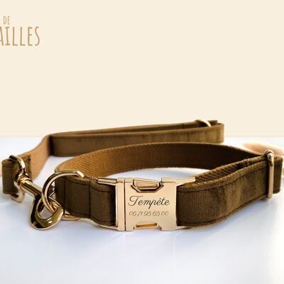 Laisse pour Chien Velours Marron