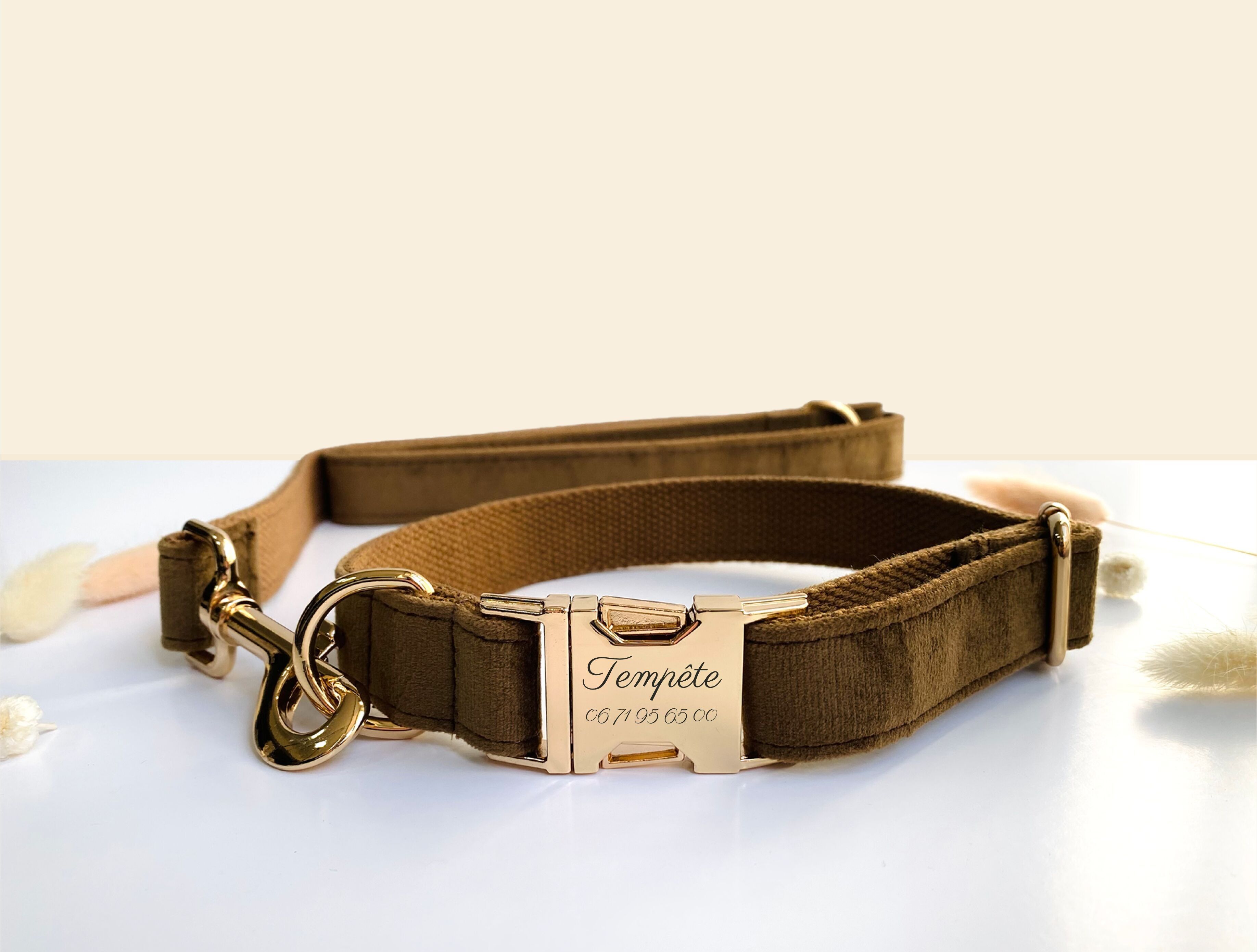 Laisse Chien Velours Lisse Marron