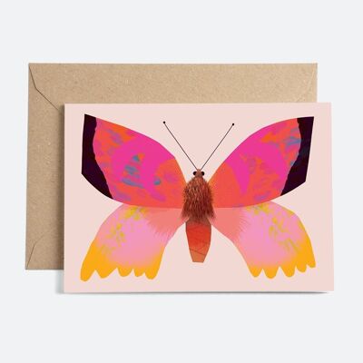 Papillon rose | Carte